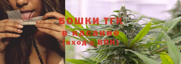 дмт Пестово