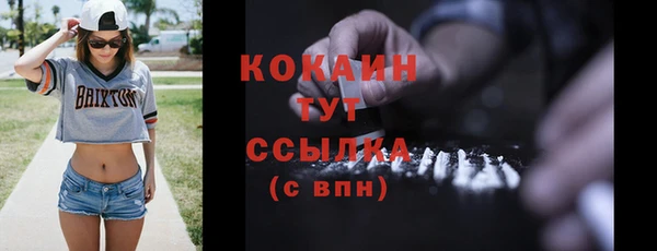 дмт Пестово