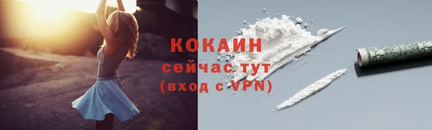 дмт Пестово