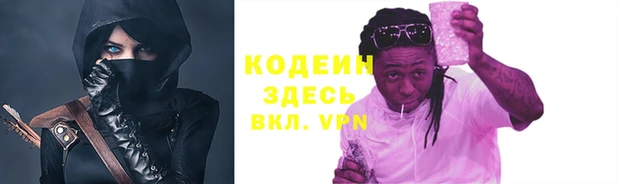 дмт Пестово