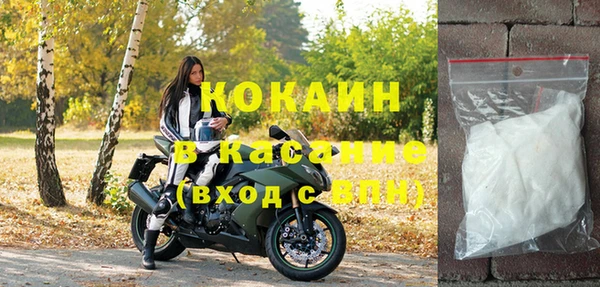дмт Пестово