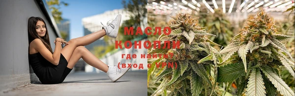 дмт Пестово