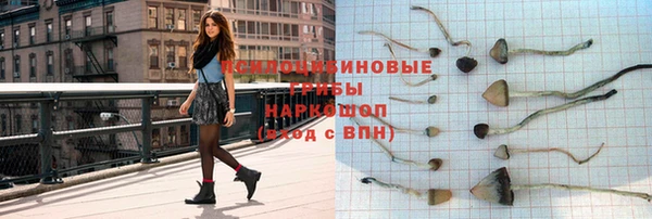 дмт Пестово