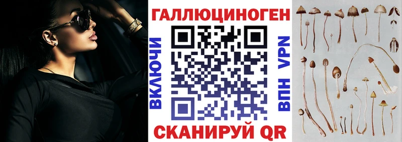 наркошоп  Бирюч  Галлюциногенные грибы Magic Shrooms 
